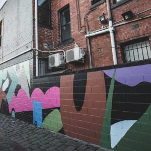 View of the mural by Paul Sonsie in an alleyway.